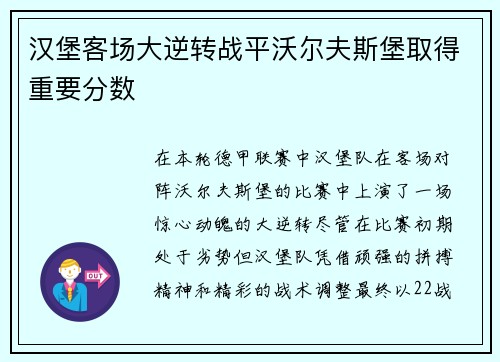 汉堡客场大逆转战平沃尔夫斯堡取得重要分数